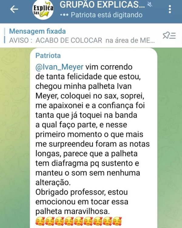 PALHETA IVAN MEYER- Soprano, Alto ou Tenor (reguladas a mão) - Imagem 4